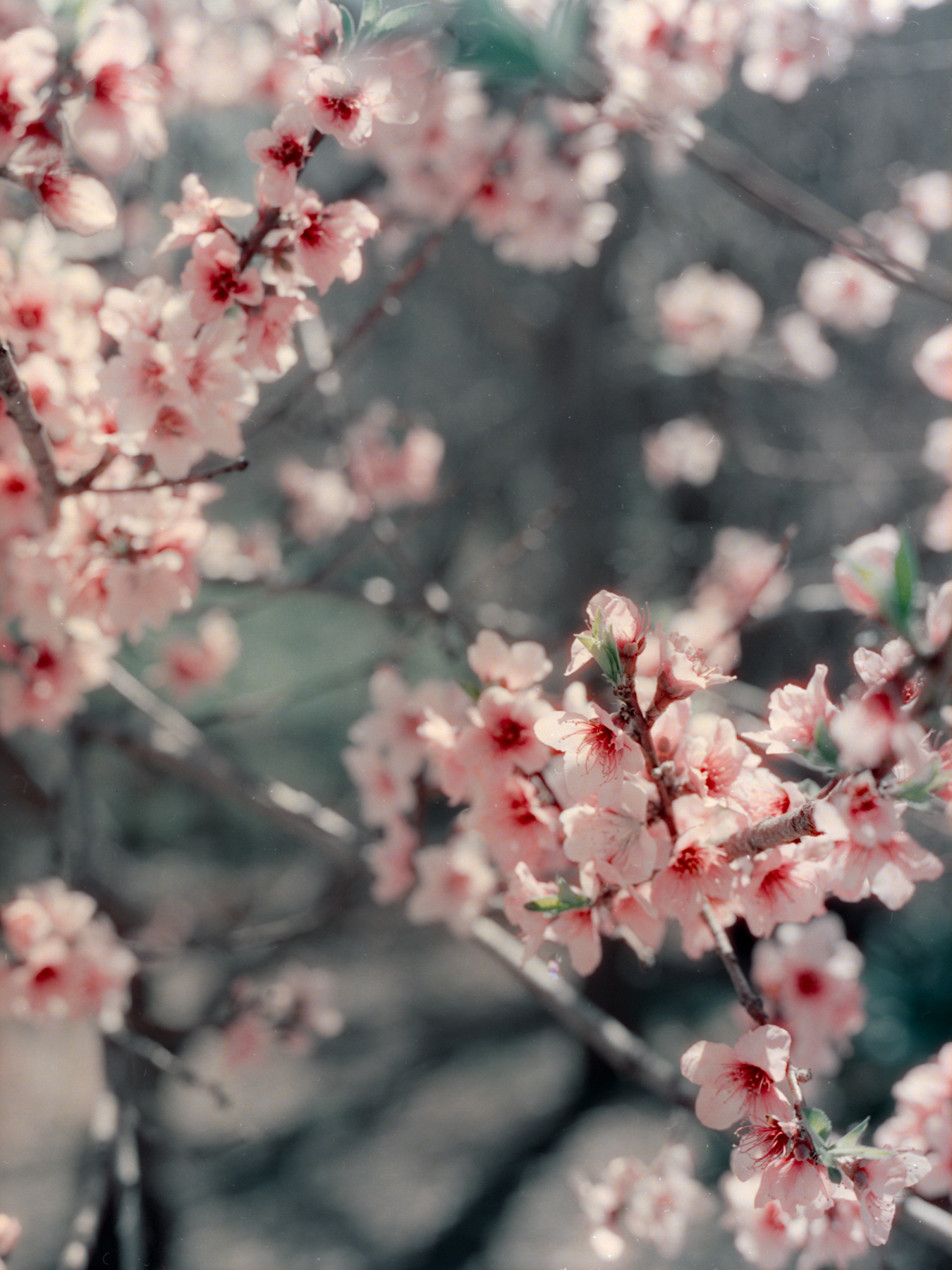 April 2022 - Image 1