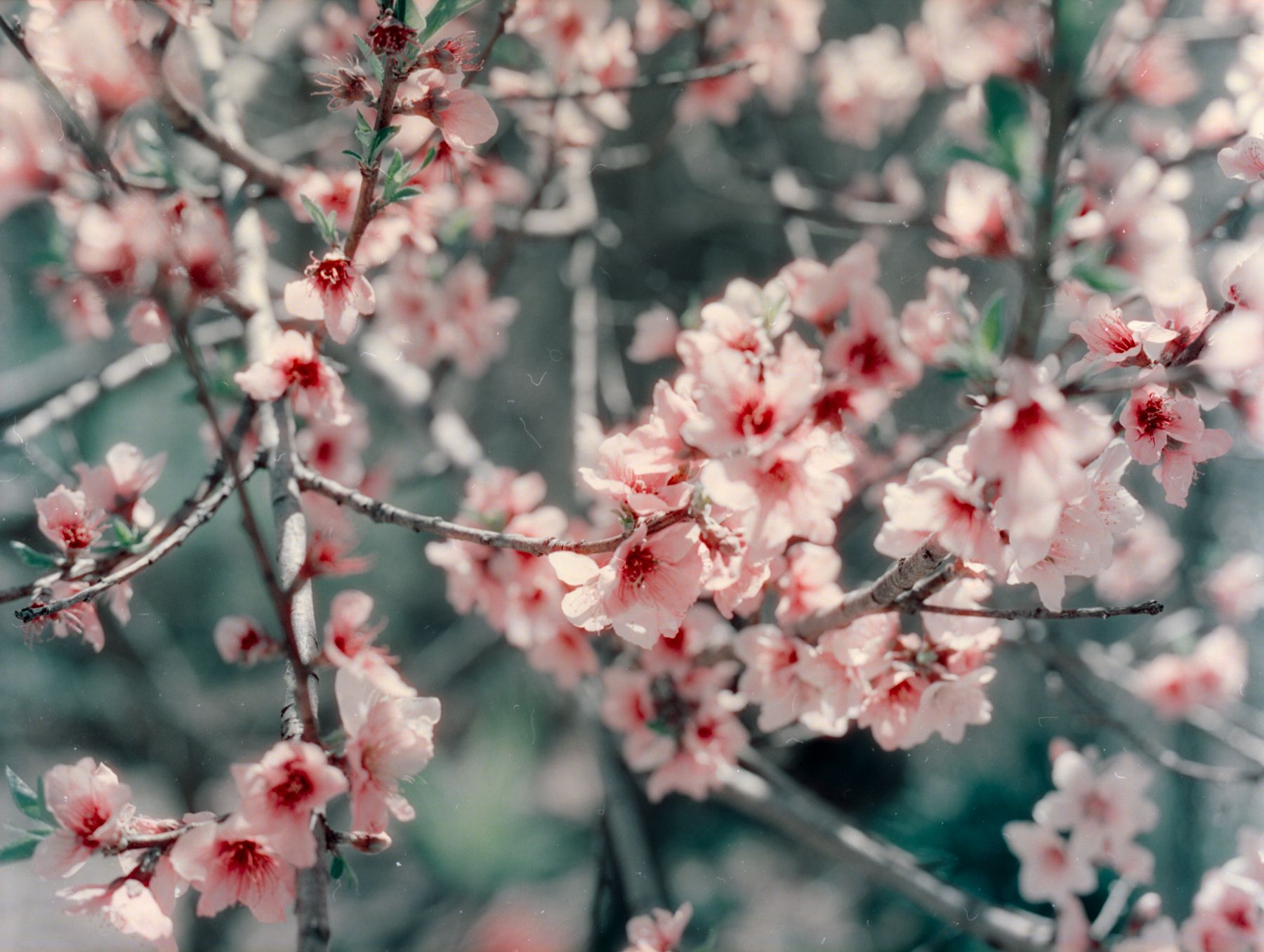 April 2022 - Image 2