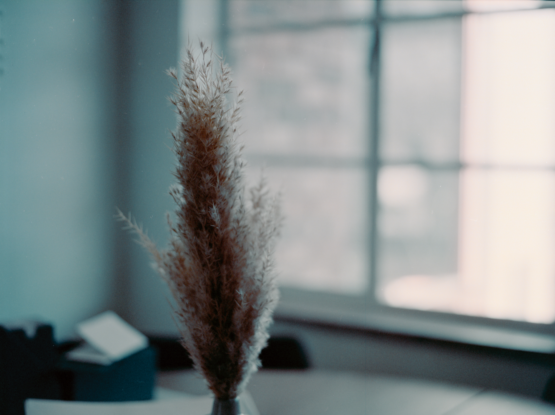 April 2022 - Image 6