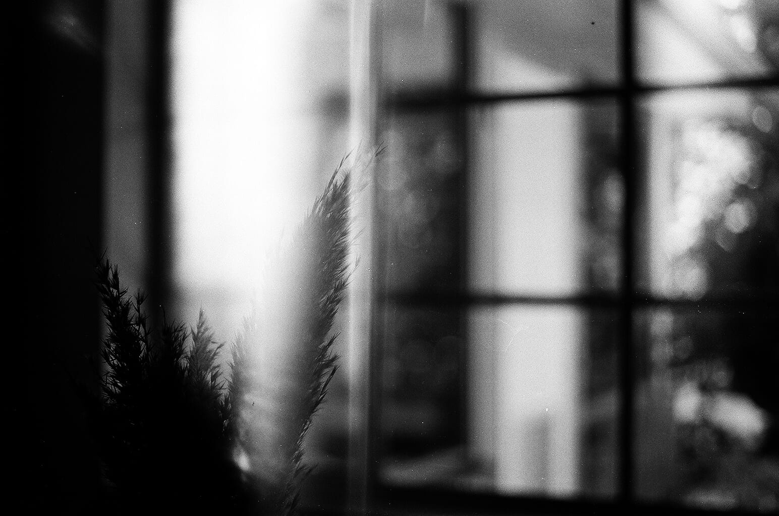 August 2021 - Image 1