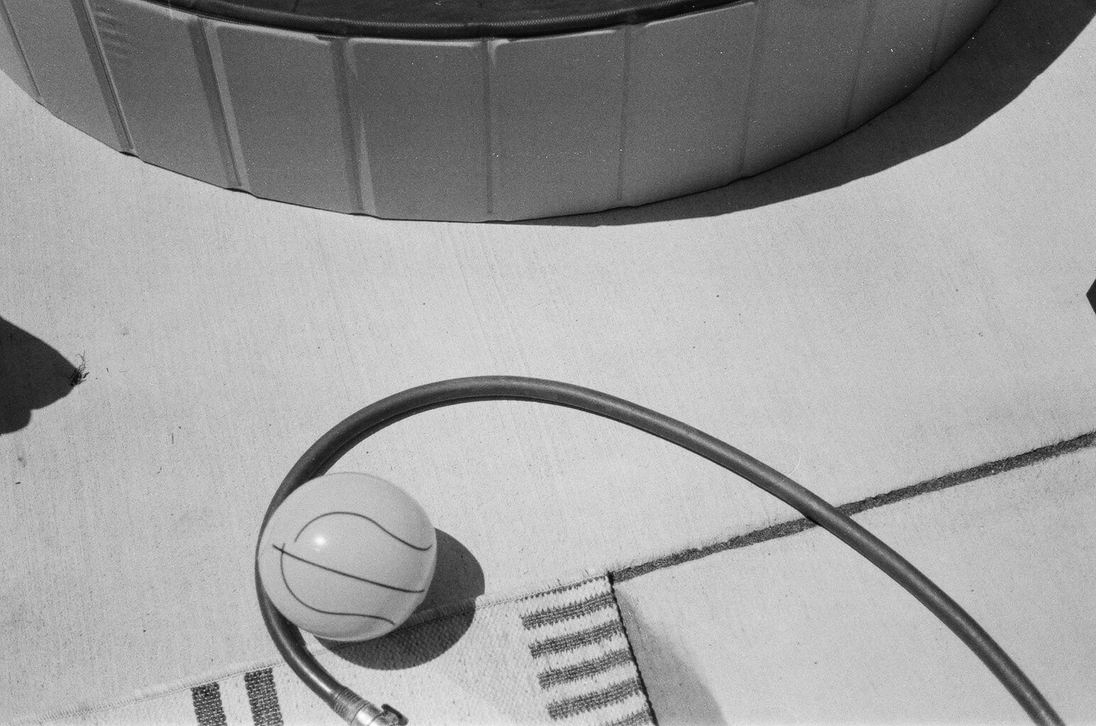 August 2021 - Image 4