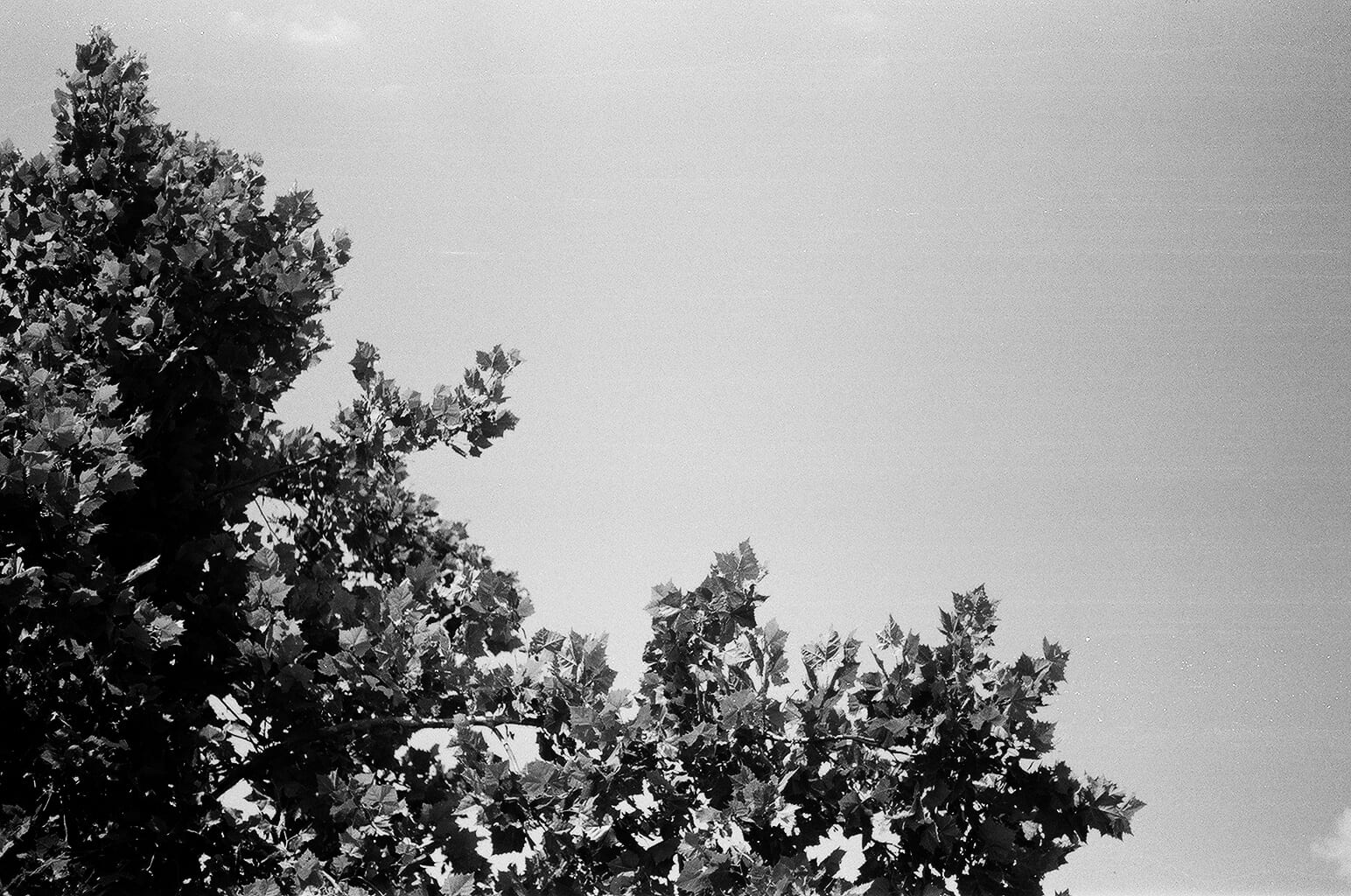 August 2021 - Image 6