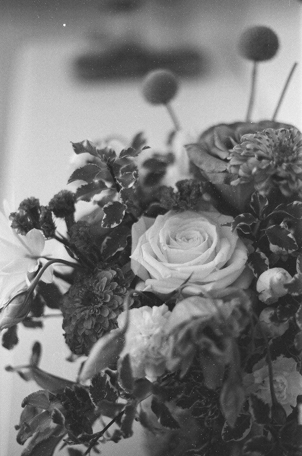 August 2021 - Image 14