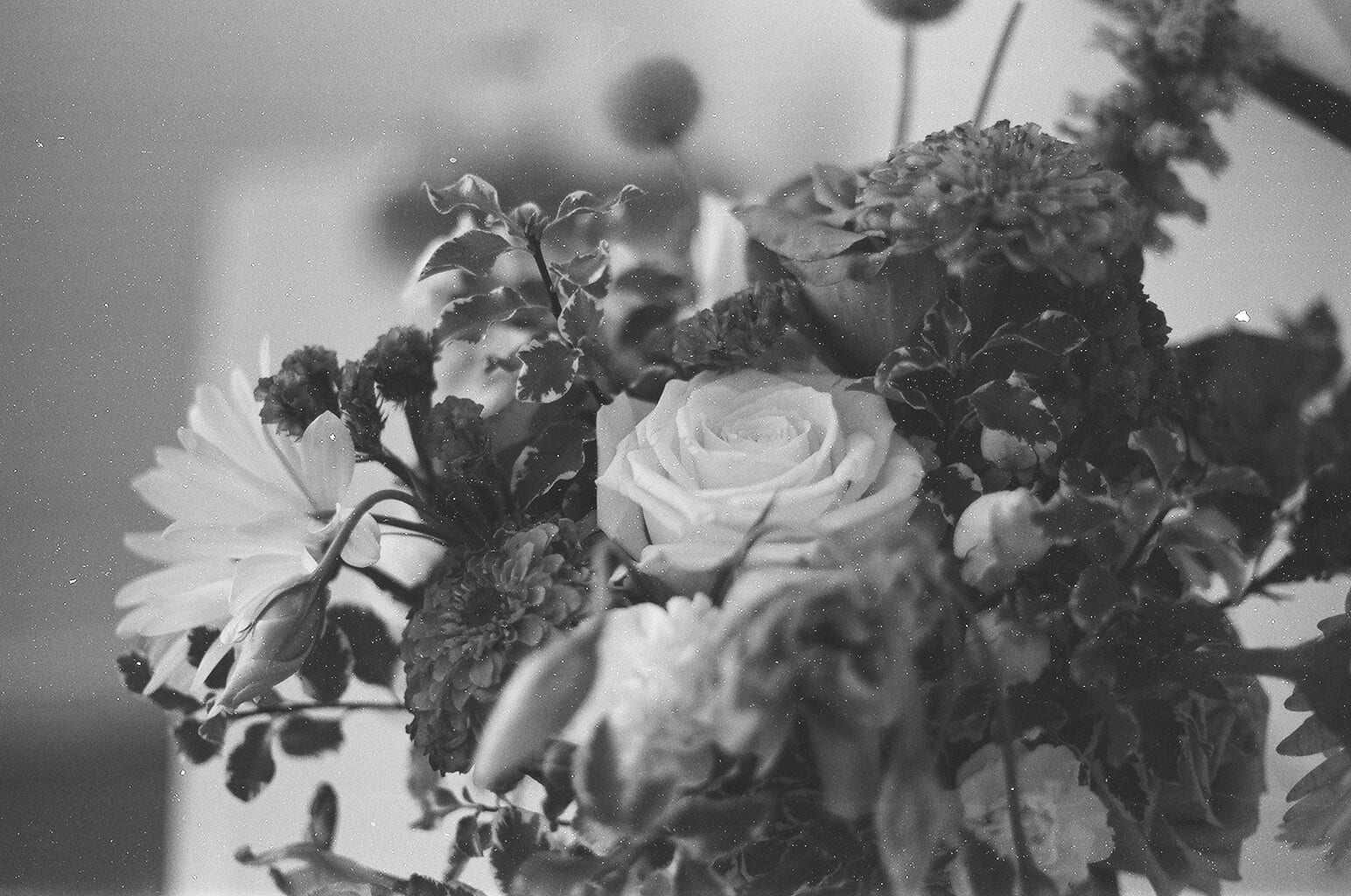 August 2021 - Image 15