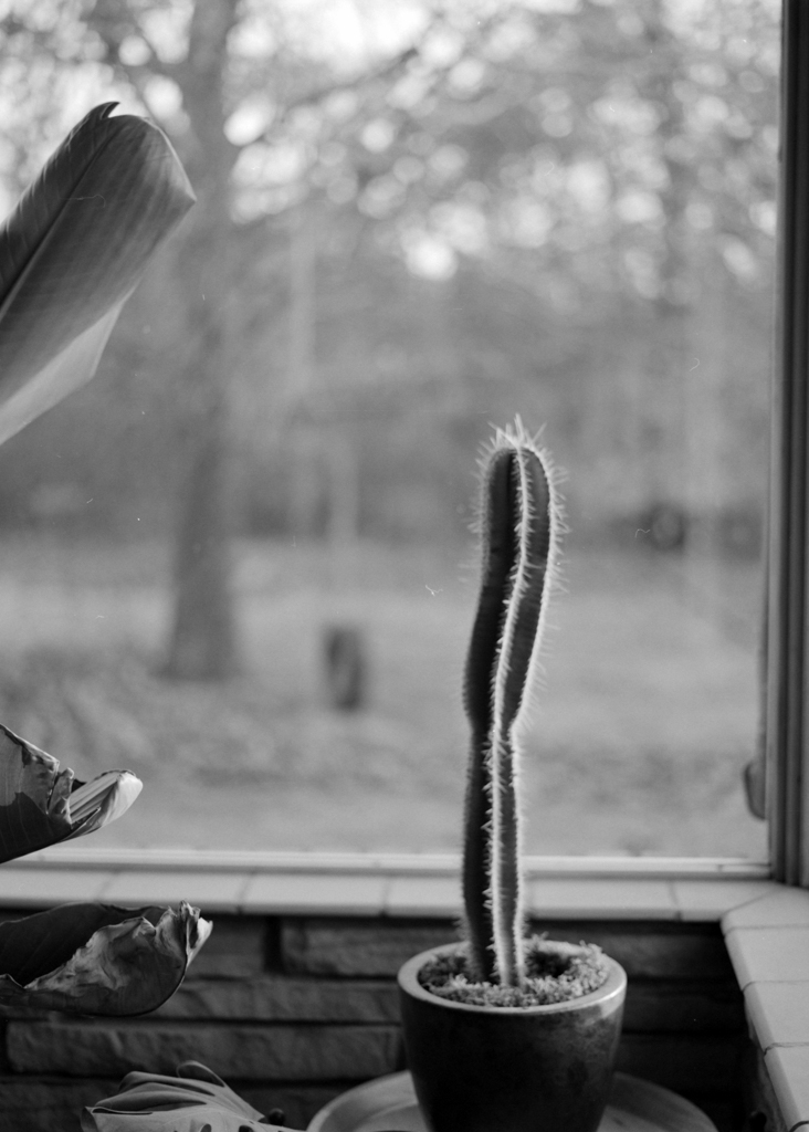 December 2021 - Image 3