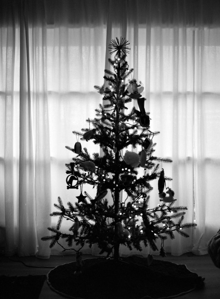 December 2021 - Image 5