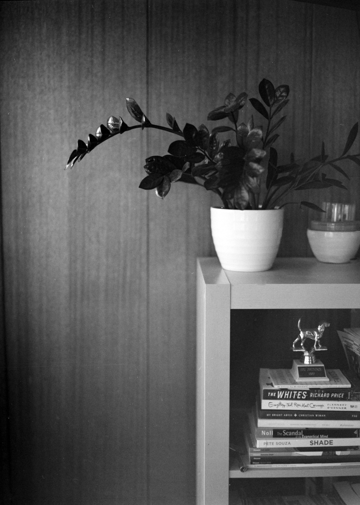 December 2021 - Image 8