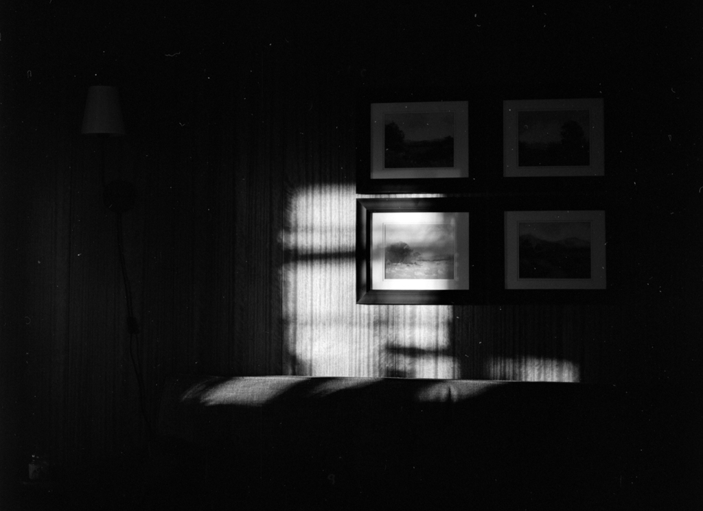 December 2021 - Image 9