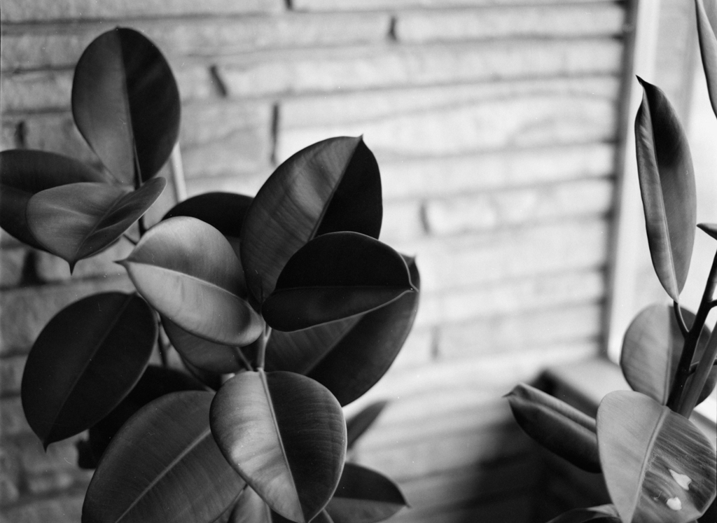 December 2021 - Image 11