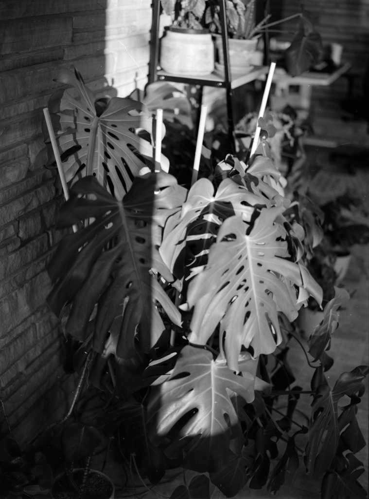 December 2021 - Image 12