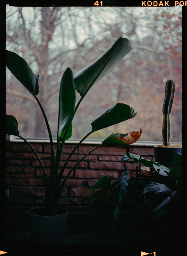 December 2021 (2) - Image 1