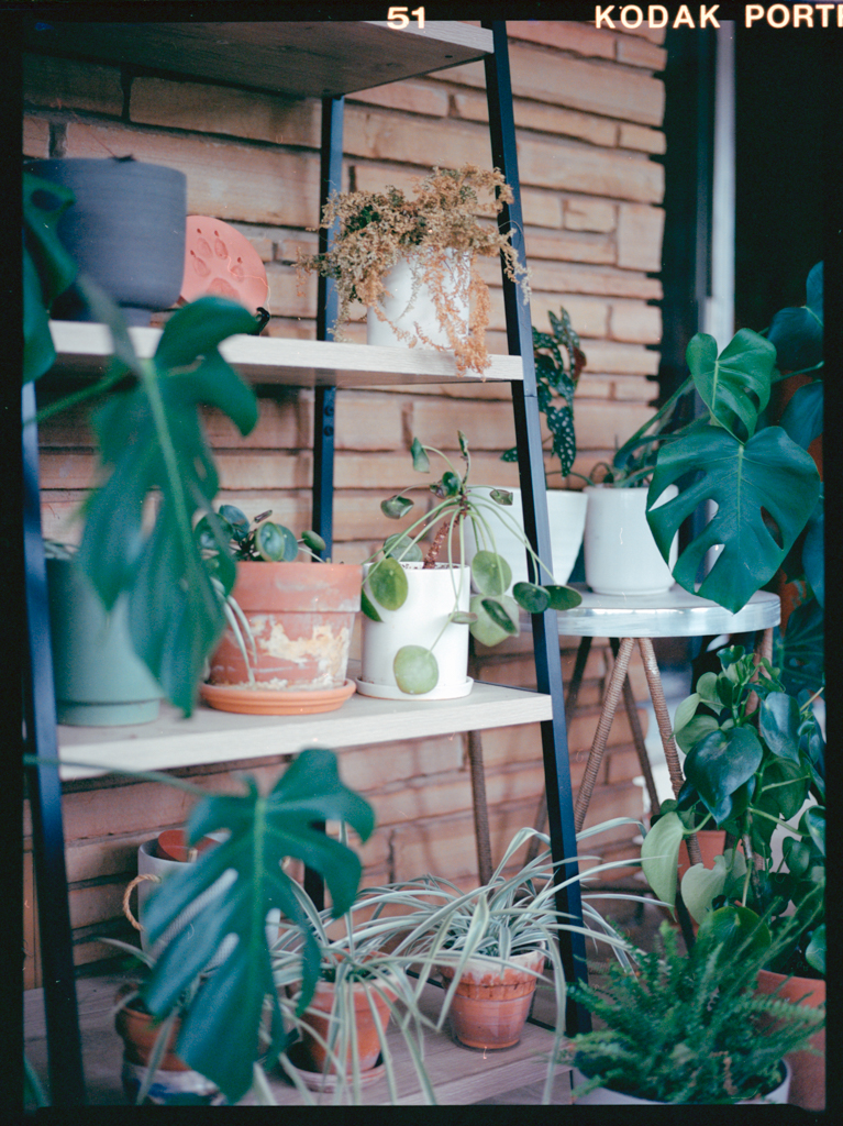 December 2021 (2) - Image 2