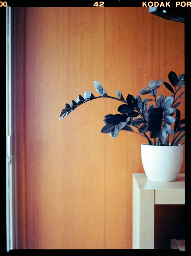 December 2021 (2) - Image 5