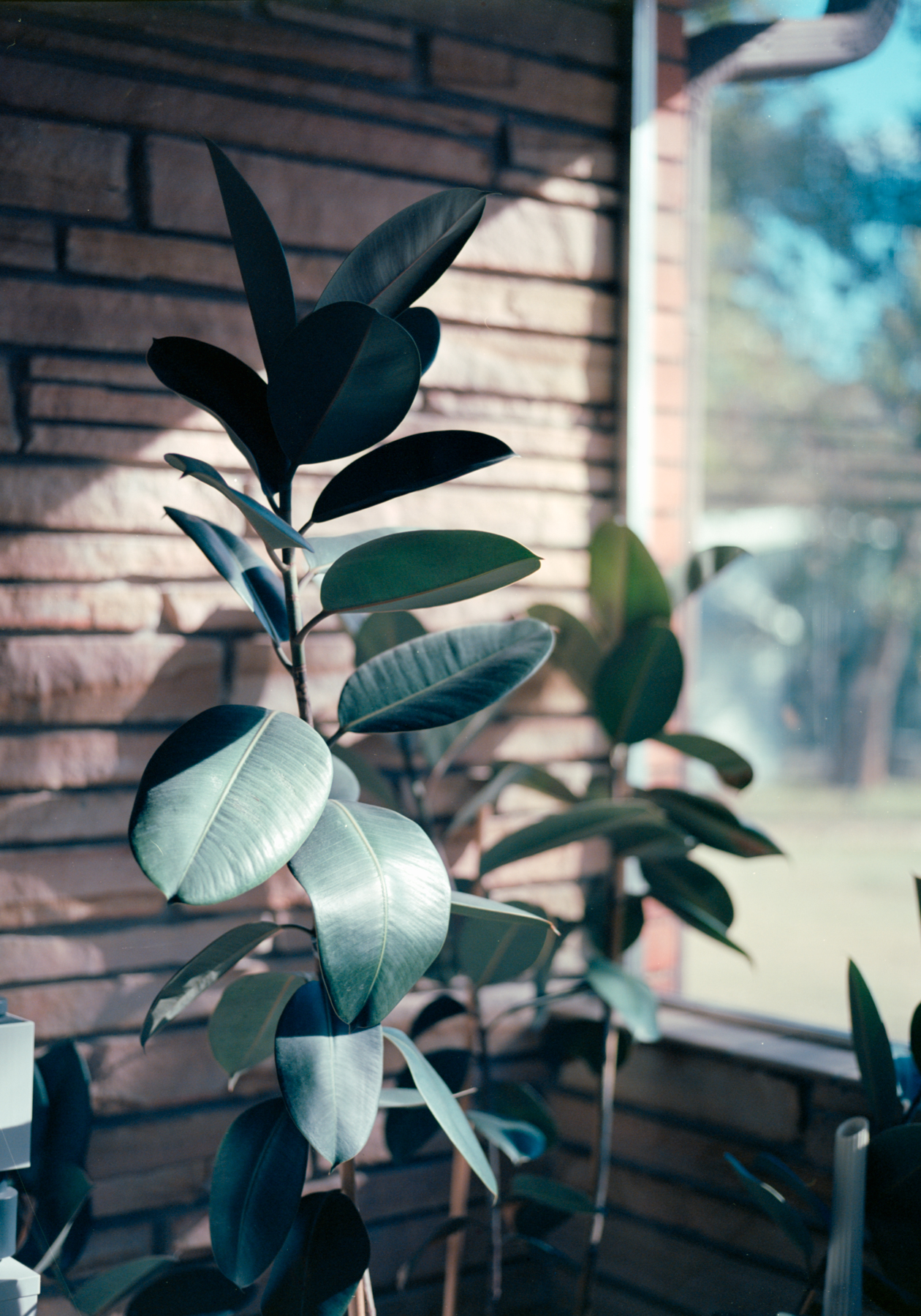 February 2023 - Image 6