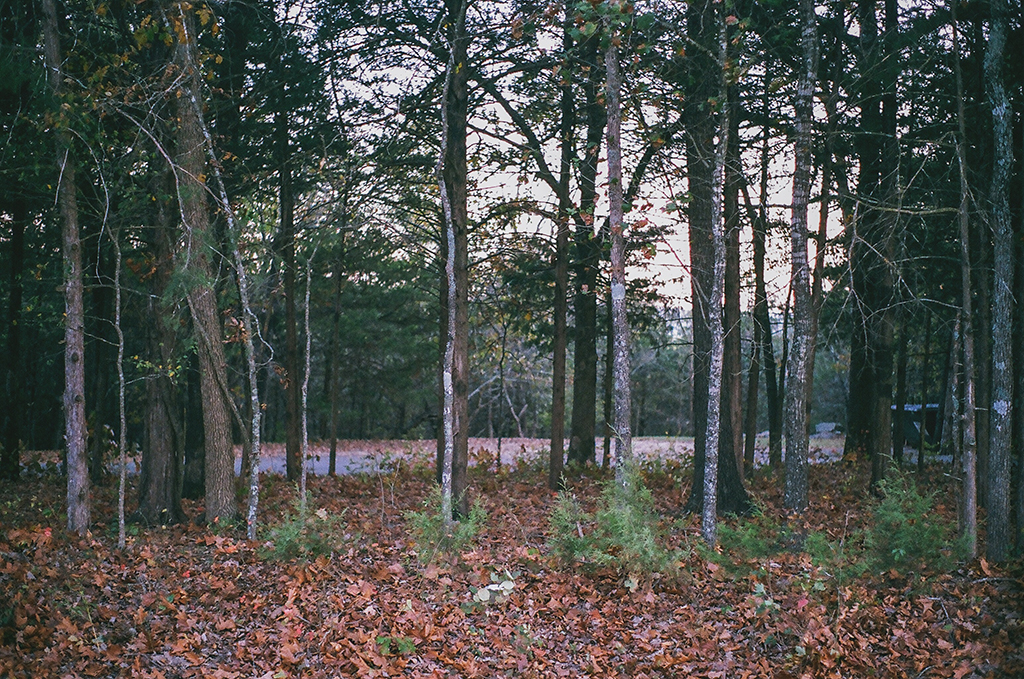 November 2017 - Image 5