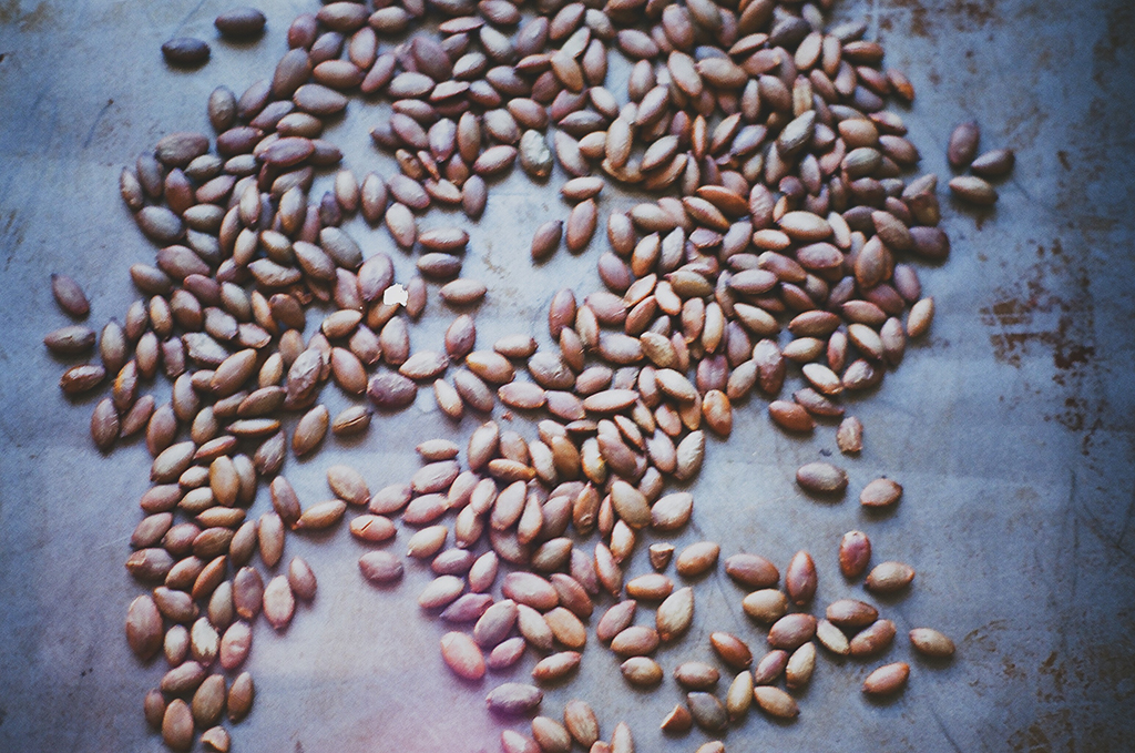 November 2017 - Image 6