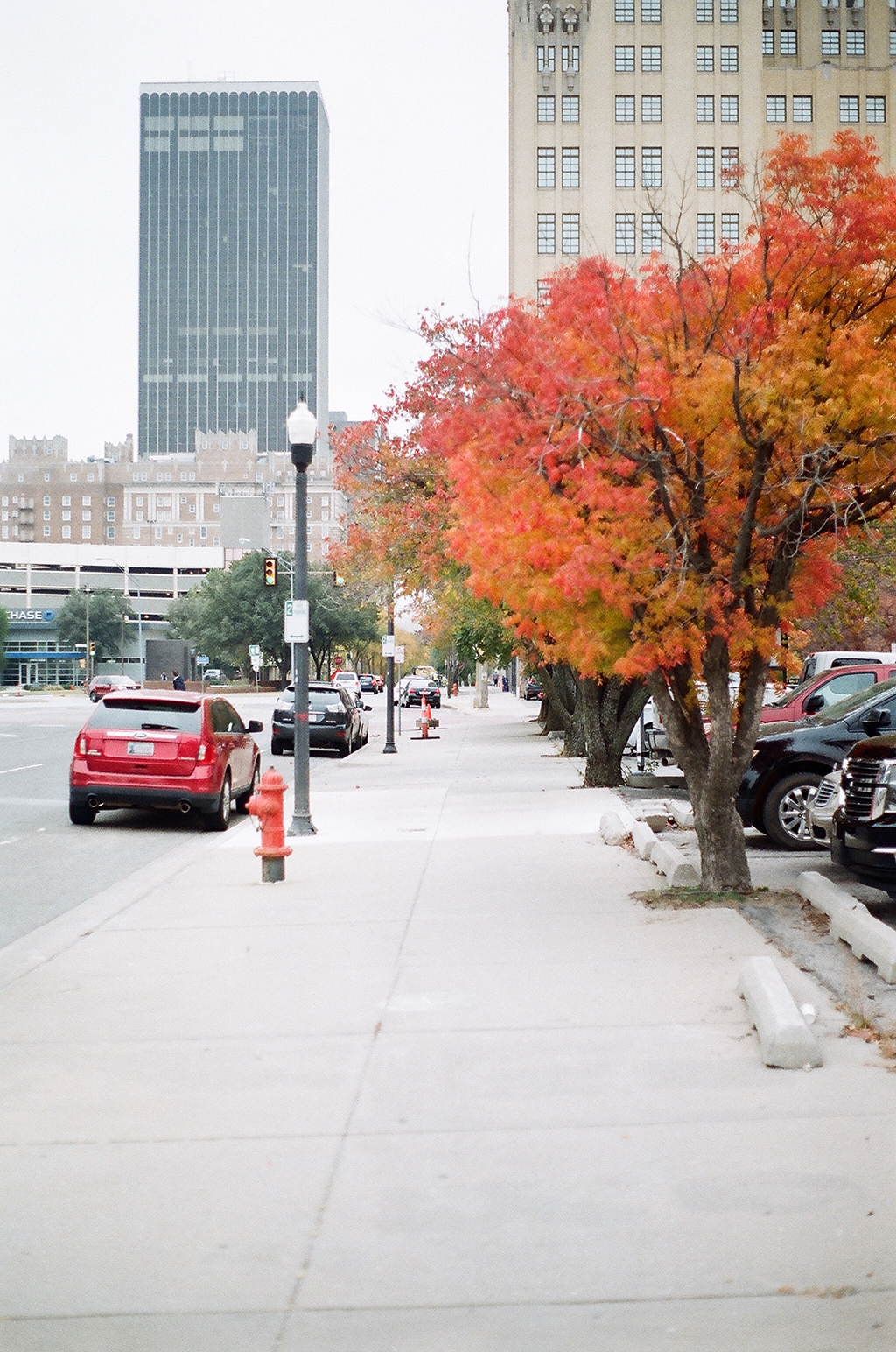 November 2017 - Image 11