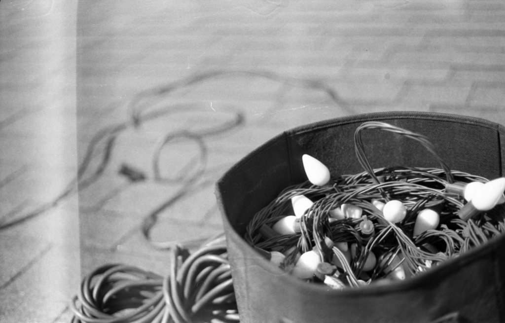 November 2021 - Image 10