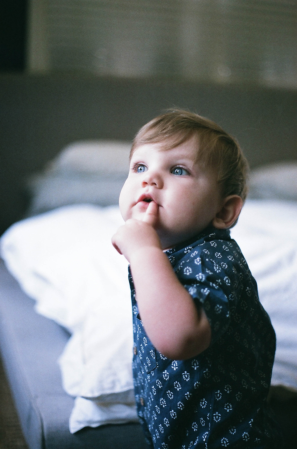 September 2017 - Image 1