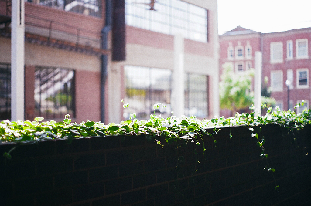 September 2017 - Image 6