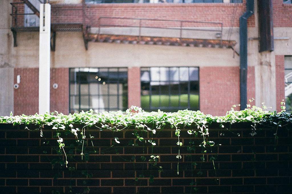 September 2017 - Image 7